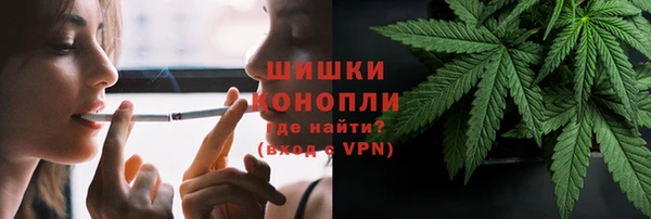 ECSTASY Богданович
