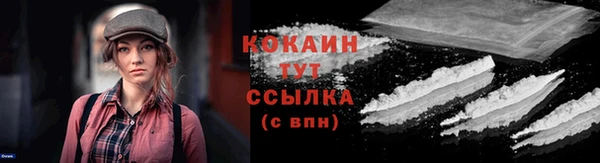 ECSTASY Богданович
